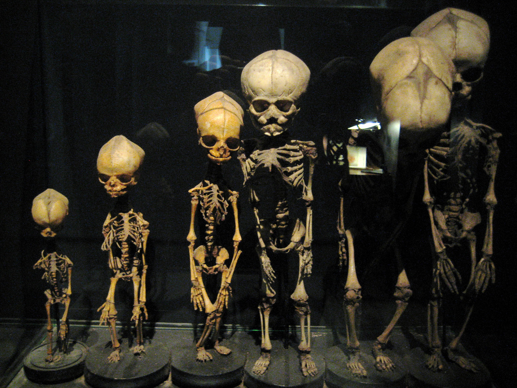 Dr. Guislain Müzesi