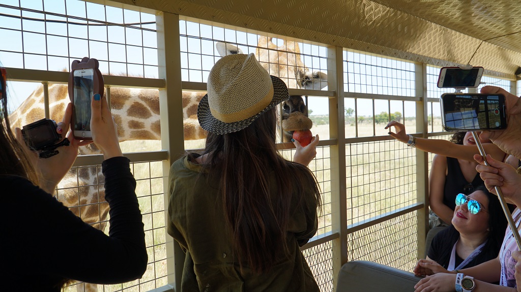 avrupa r&uuml;yası afrika turu safari 1