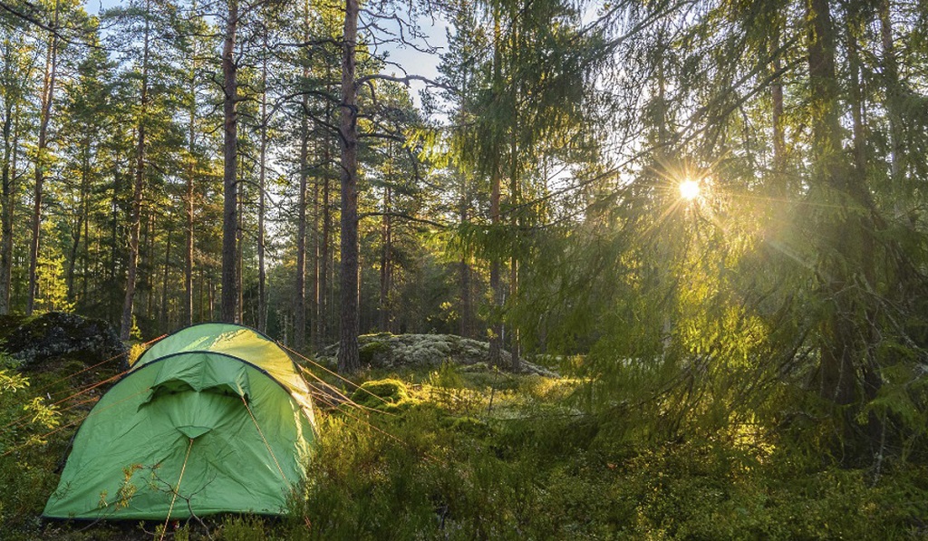 avrupa rüyası helsinki hike nuuksio parkı