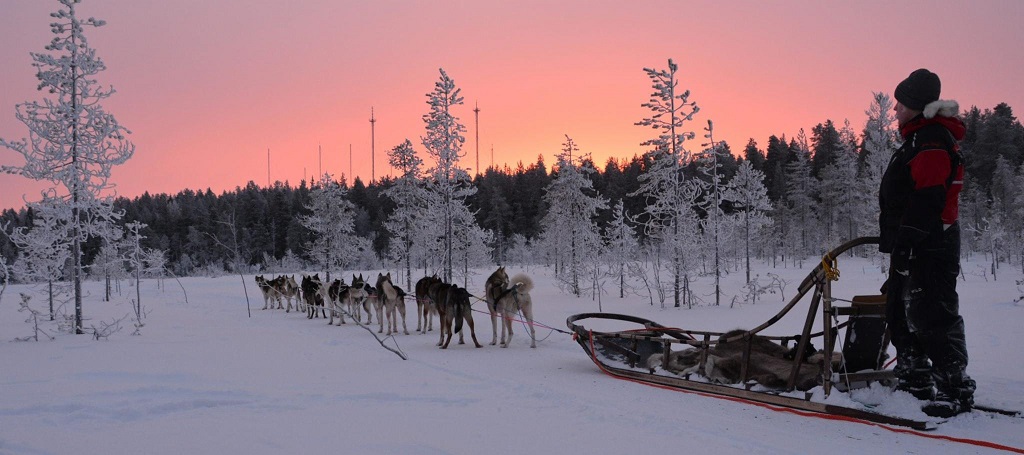 lapland turu
